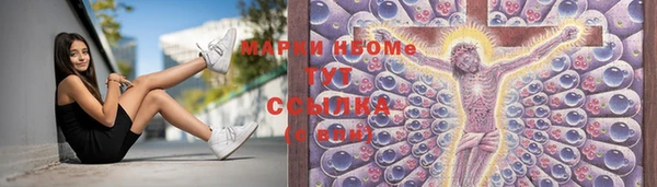 сатива Краснотурьинск