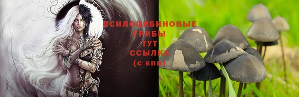 сатива Краснотурьинск