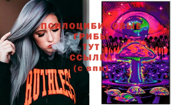 сатива Краснотурьинск