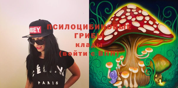 сатива Краснотурьинск